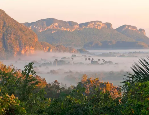 Fog Valley Floor Cuba