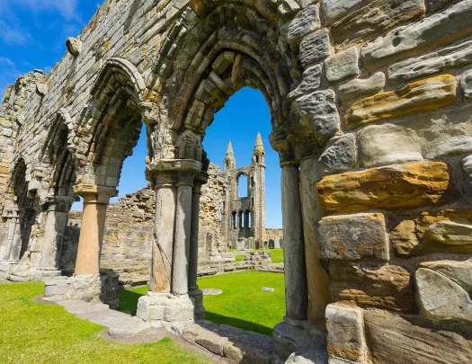Castle Ruin Ireland