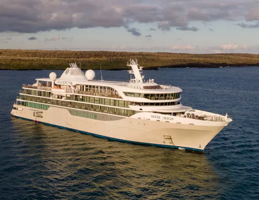 Exterior view of large cruise ship with an open valley in the background