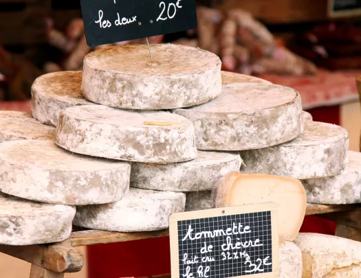 Cheese Swiss Alps