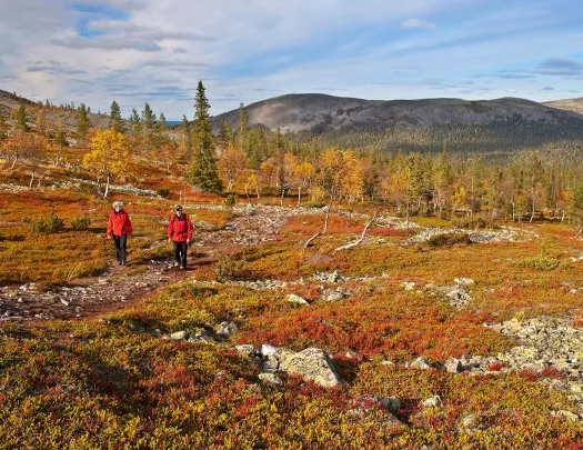 Hiking Finland