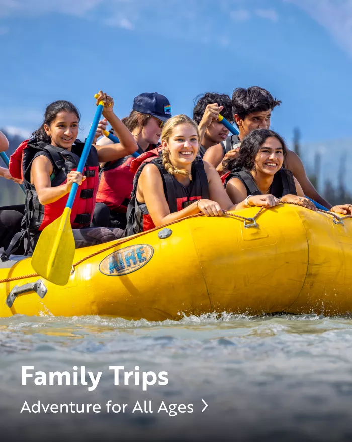 Family Trips