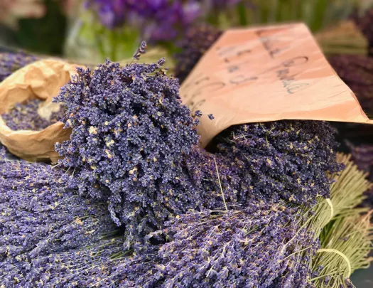 Lavender