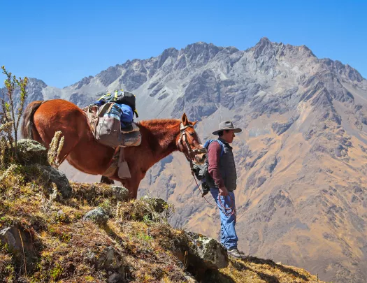 Guest with horse on mountainside.